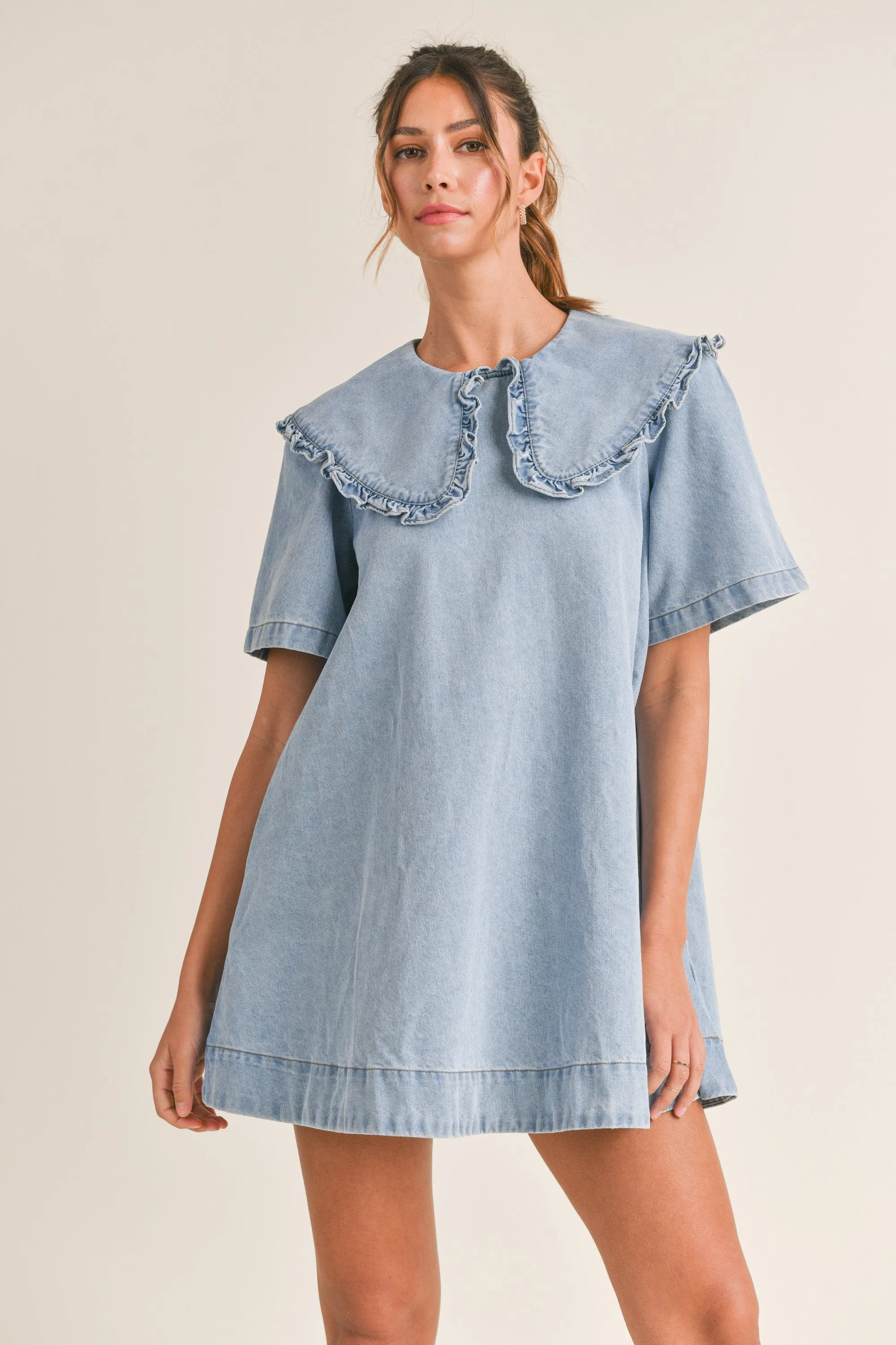 Baker Denim Dress