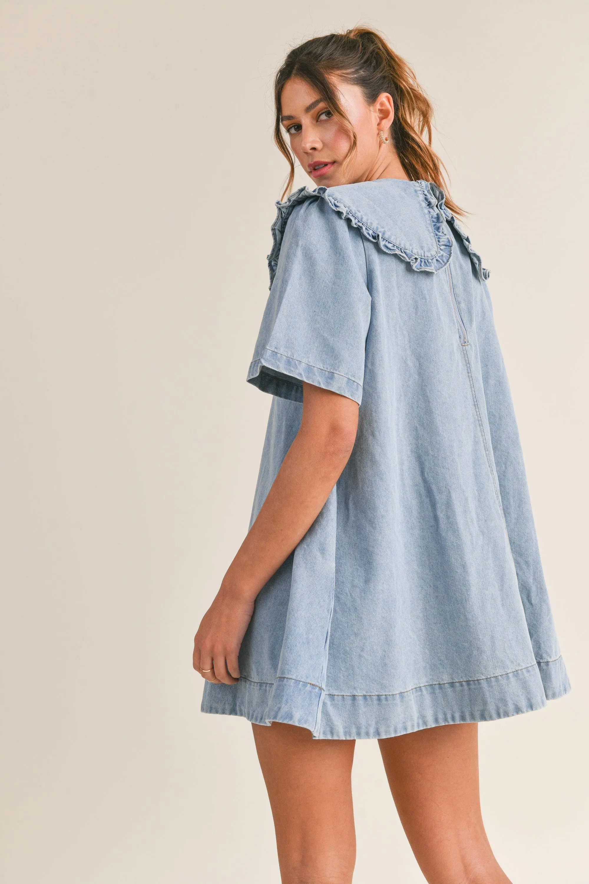 Baker Denim Dress