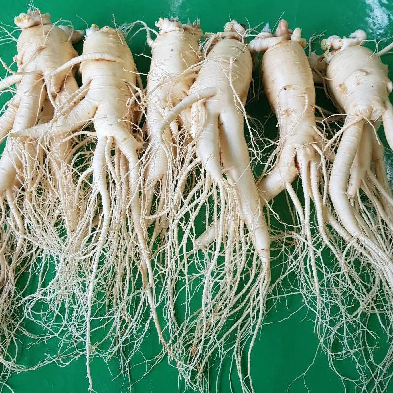 Heaven Grade 351 Black Ginseng Rootlet Roots 6 Pieces Premium Korean 6 Years Old Health Supplements Foods Gifts