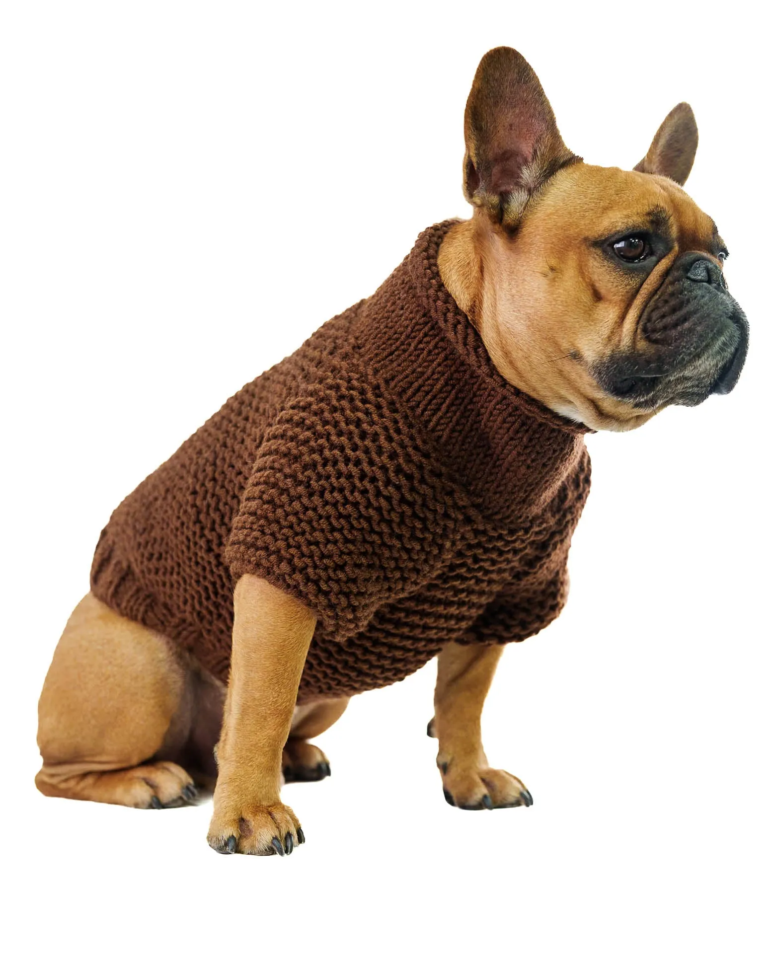 Pet Sweater