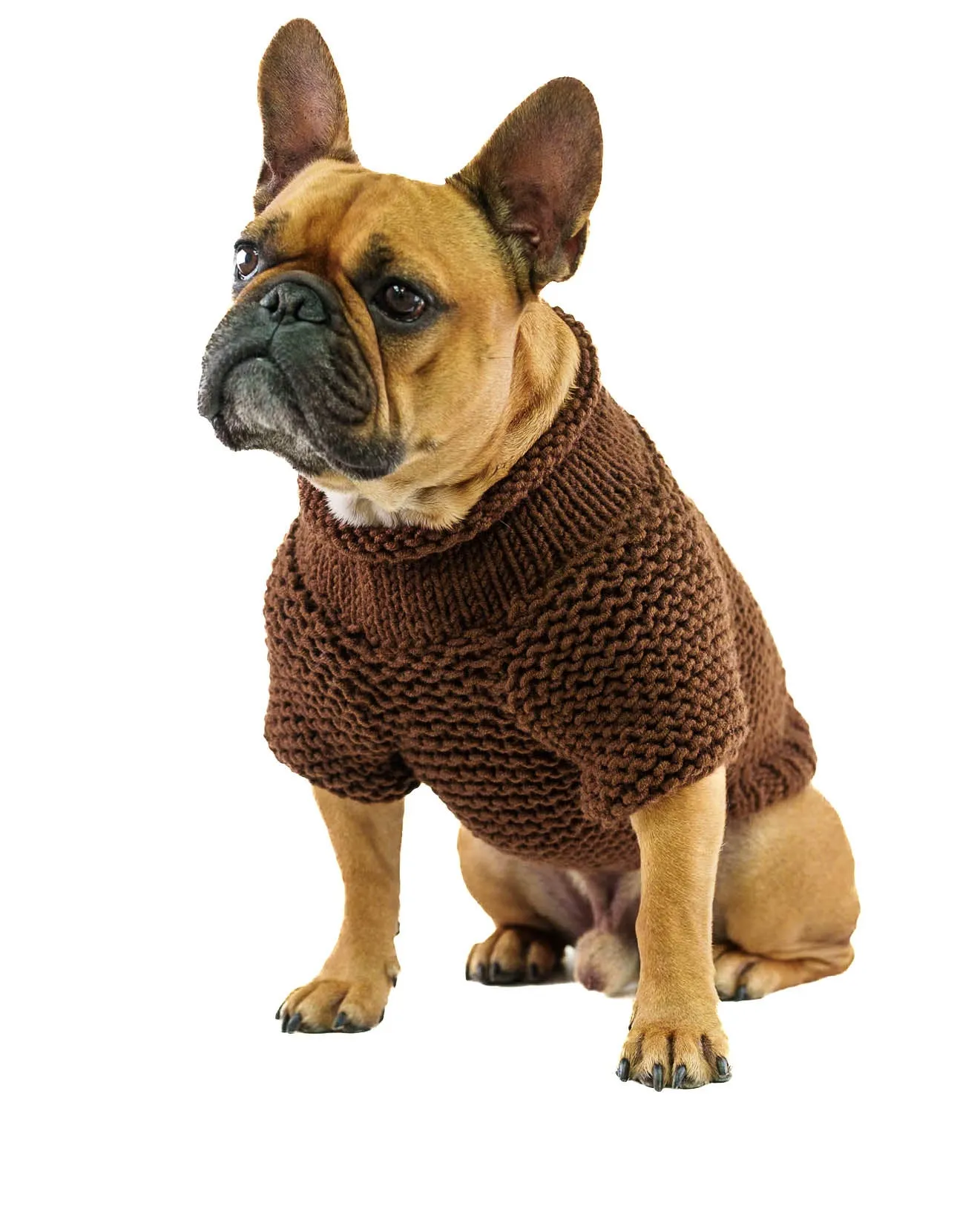 Pet Sweater